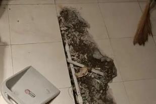 宁洱卫生间漏水检测电话